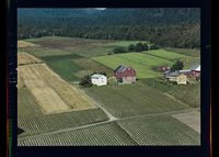 325. No-nb digifoto 20140116 00093 NB WF ANK 152569.jpg