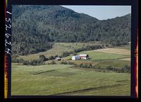 481. No-nb digifoto 20140117 00029 NB WF ANK 152624.jpg