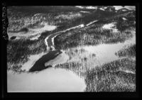 74. No-nb digifoto 20140213 00060 NB WF EDK 050626.jpg