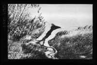 92. No-nb digifoto 20140213 00080 NB WF EDK 080313.jpg