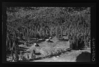 264. No-nb digifoto 20140226 00137 NB WF EDK 137054.jpg