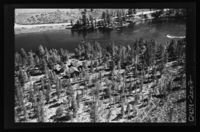 355. No-nb digifoto 20140227 00124 NB WF EDK 138563.jpg