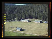 375. No-nb digifoto 20140228 00112 NB WF EDK 129154.jpg