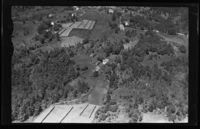 142. No-nb digifoto 20140314 00080 NB WF SVK 108989.jpg