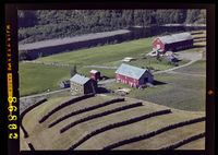 314. No-nb digifoto 20140319 00006 NB WF MAAK 086862.jpg