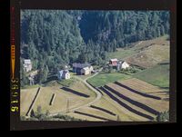 392. No-nb digifoto 20140327 00052 NB WF MAAK 086915.jpg