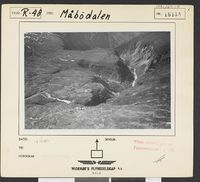 81. No-nb digifoto 20140402 00024 NB WF EFK 015138.jpg