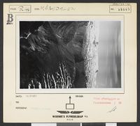 27. No-nb digifoto 20140402 00029 NB WF EFK 015145.jpg