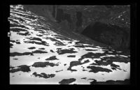 49. No-nb digifoto 20140402 00070 NB WF EFK 081156.jpg