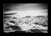 58. No-nb digifoto 20140407 00013 NB WF UVK 013734.jpg