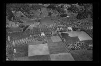 99. No-nb digifoto 20140408 00186 NB WF UVK 081071.jpg