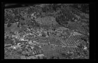 103. No-nb digifoto 20140408 00190 NB WF UVK 081075.jpg