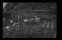 106. No-nb digifoto 20140408 00193 NB WF UVK 081078.jpg