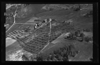 163. No-nb digifoto 20140410 00099 NB WF UVK 081135.jpg