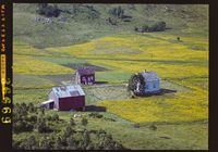 77. No-nb digifoto 20140411 00074 NB WF SLK 036669.jpg