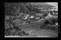 306. No-nb digifoto 20140617 00074 NB WF TVK 069766.jpg