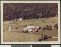 218. No-nb digifoto 20140731 00007 NB WF HLK 142607.jpg