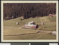 219. No-nb digifoto 20140731 00008 NB WF HLK 142609.jpg