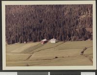 199. No-nb digifoto 20140804 00045 NB WF HLK 142592.jpg