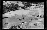 39. No-nb digifoto 20140804 00131 NB WF HLK 098065.jpg