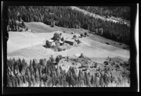 71. No-nb digifoto 20140811 00032 NB WF SJK 087503.jpg