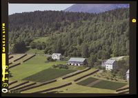 149. No-nb digifoto 20140814 00103 NB WF SK 081160.jpg