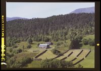 166. No-nb digifoto 20140814 00104 NB WF SK 081161.jpg