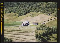 47. No-nb digifoto 20140814 00206 NB WF SFK 113235.jpg