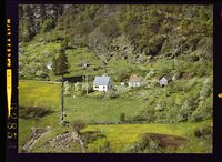 354. No-nb digifoto 20140828 00165 NB WF TVK 062853.jpg