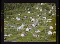 419. No-nb digifoto 20140828 00226 NB WF TVK 062913.jpg