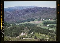 206. No-nb digifoto 20140903 00078 NB WF TVK 108389.jpg