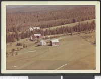 493. No-nb digifoto 20141204 00039 NB WF SBK 111273.jpg