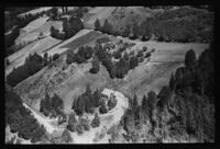 61. No-nb digifoto 20141216 00193 NB WF KEK 087142.jpg