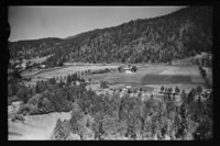 233. No-nb digifoto 20141216 00258 NB WF KEK 087206.jpg