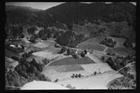 305. No-nb digifoto 20141218 00121 NB WF KEK 087338.jpg