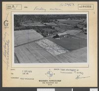 249. No-nb digifoto 20150115 00055 NB WF KBK 104223.jpg