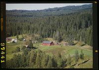 338. No-nb digifoto 20150220 00050 NB WF NOK 097441.jpg