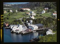 338. No-nb digifoto 20150312 00098 NB WF FLOK 019799.jpg