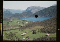 290. No-nb digifoto 20150313 00024 NB WF FLOK 019821 Hull.jpg