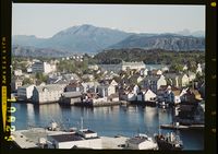 274. No-nb digifoto 20150313 00027 NB WF FLOK 019823.jpg