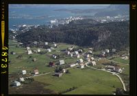 348. No-nb digifoto 20150313 00073 NB WF FLOK 048734.jpg