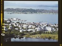 468. No-nb digifoto 20150313 00155 NB WF FLOK 054200.jpg