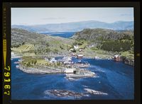 453. No-nb digifoto 20150313 00171 NB WF FLOK 079167.jpg