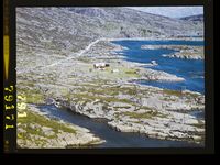 470. No-nb digifoto 20150313 00176 NB WF FLOK 079171.jpg