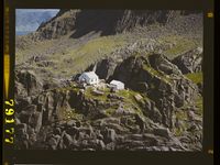 479. No-nb digifoto 20150313 00182 NB WF FLOK 079177.jpg