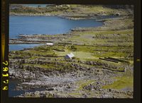 453. No-nb digifoto 20150313 00183 NB WF FLOK 079178.jpg