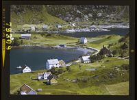 449. No-nb digifoto 20150316 00071 NB WF FLOK 079309.jpg