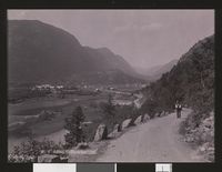 12. No. 8 Dalen, Thelemarken (II) - no-nb digifoto 20130402 00123 bldsa FA0174.jpg