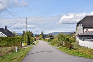 Nome, Bjørkelia-1.jpg