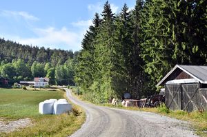 Nome, Eidsbygdavegen-1.jpg